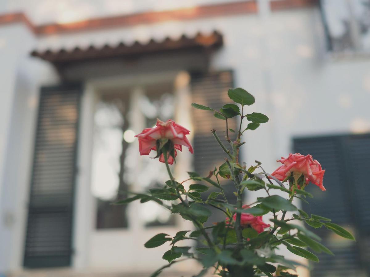 Villa Monti Colli del Tronto Екстериор снимка